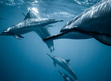 九游官网-五星高中生，给中国的年轻球员提出什么建议？